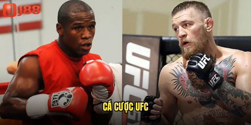 Cá Cược UFC