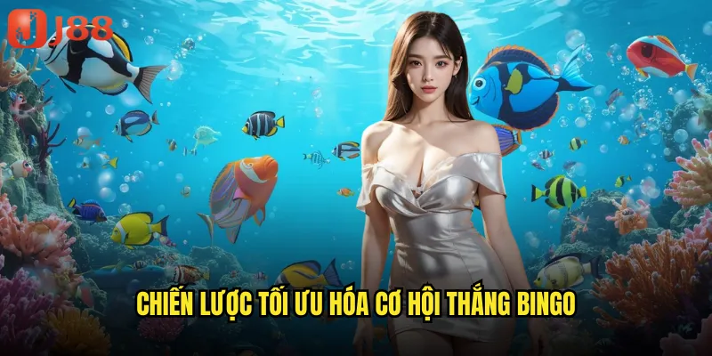 Chiến lược tối ưu hóa cơ hội thắng bingo