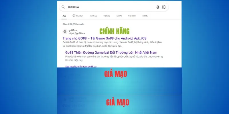 Vì sao các miền khác rất có thể là giả mạo